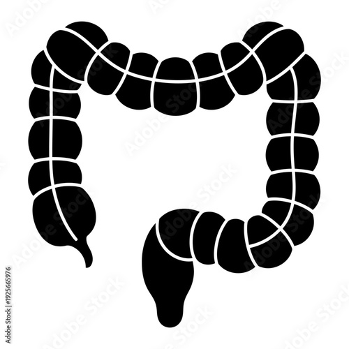 Human Large Intestine or Colon Silhouette Icon for Medical and Health Concepts