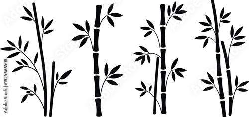 Four black bamboo plants with leaves on white background