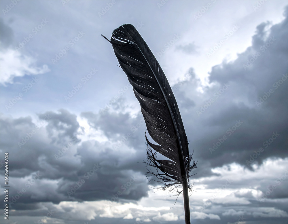 Obraz premium Capture the essence of hope with this moody black feather against a dramatic cloudy sky. A symbol of resilience and fragility, its ideal for emotional, conceptual, and artistic projects.