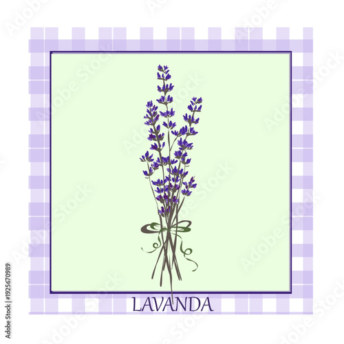 Mazzetto di lavanda incorniciato su sfondo verde chiaro e quadretti viola