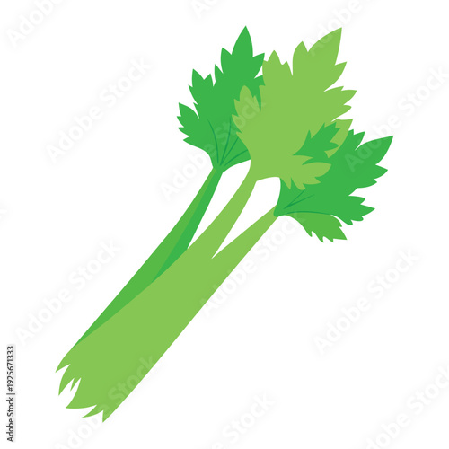 Celery illustration vector design with a white background