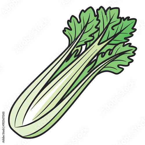 Celery illustration vector design with a white background