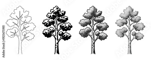 Set of four hand-drawn tree illustrations showcasing different artistic techniques including simple outline, solid silhouette, vintage engraving, and dotwork stippling