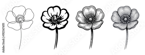 Set of four black flower illustrations showing different artistic techniques like continuous line art, bold graphic, vintage engraving, and modern stippling dotwork