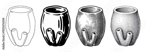 Set of four sea squirt illustrations in different artistic styles, showcasing continuous line art, bold ink drawing, detailed engraving, and classic stippling techniques