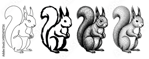 Set of four black squirrel illustrations showing different artistic styles like continuous line drawing, engraving, stippling, and bold brush strokes for a creative concept