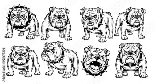 Collection of various bulldog illustrations in black and white, showcasing different poses and expressions.
