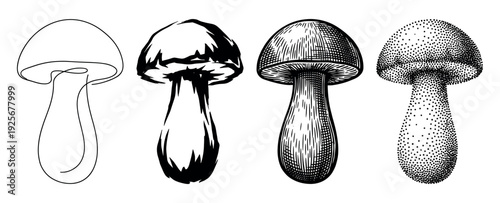 Set of four mushroom drawings presented in various graphic styles from minimalist line art and bold silhouette to detailed engraving and stippling dotwork