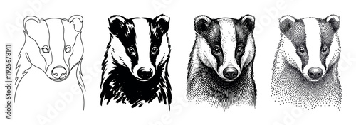 Collection of four badger portraits rendered in diverse artistic methods from minimalist line drawing and bold ink sketch to classic engraving and modern stippling