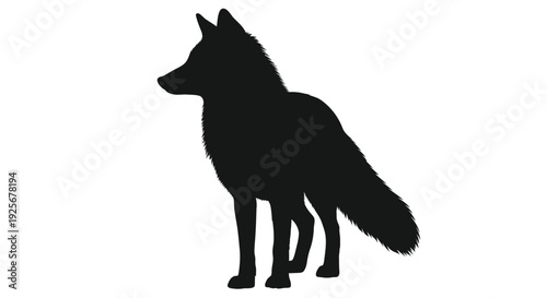 A striking black silhouette of a fox standing in profile silhouette