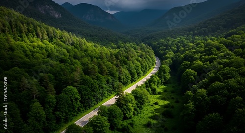 Aerial view Scenic mountain road winding through lush green forest valley at sunrise highway