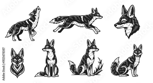Collection of detailed fox illustrations in various poses and expressions.