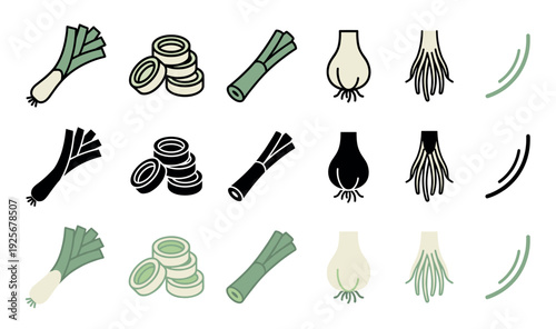 Set of leek vegetable icons showing the whole plant, sliced pieces, bulb, and roots in three different styles: outline, solid black silhouette, and flat color design