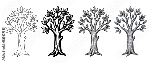 Set of four stylized tree illustrations demonstrating different graphic techniques, including simple outline, bold silhouette, detailed engraving, and dotwork stippling