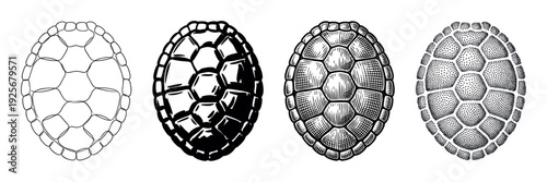 Collection of four turtle shell illustrations rendered in distinct black and white artistic styles, featuring line drawing, solid ink, detailed hatching, and stippling dotwork