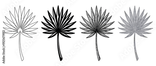 Four black and white fan palm leaves illustrated in different graphic styles, including outline, silhouette, hatching, and stippling, creating a minimalist and modern botanical design set