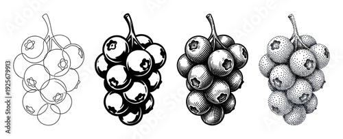 Collection of four blueberry fruit icons rendered in diverse black and white artistic styles, from minimalist line art and stencil to classic engraving and dotwork stippling