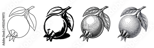 Set of four black pomegranate illustrations showing different artistic styles including minimalist line art, brushstroke silhouette, vintage engraving, and dotwork stippling