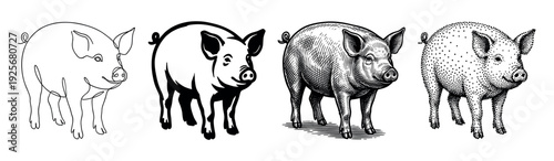 Set of four piglet vector graphics rendered in diverse artistic styles from minimalist one-line art and bold stencil to detailed vintage engraving and modern stippling