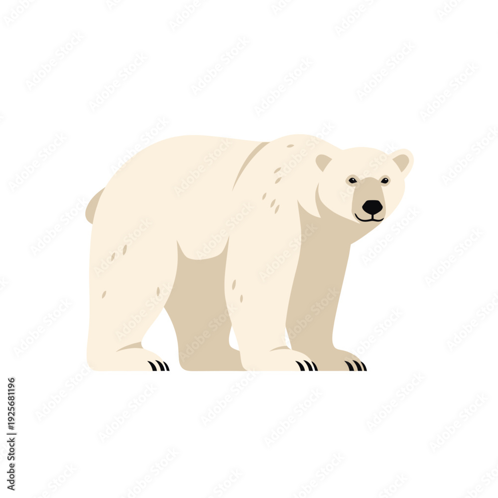 Fototapeta premium White Polar Bear Standing Alone.