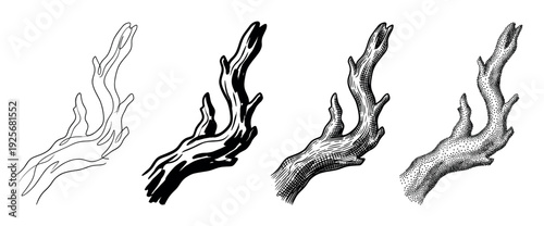 Four stylized hand-drawn wood branches illustrated using distinct artistic techniques including continuous line, solid ink, detailed hatching, and stippling, creating a graphic and organic visual