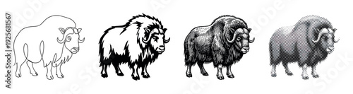 Four graphic muskox illustrations demonstrate a progression of styles from minimalist one-line drawing and silhouette to a vintage woodcut and a retro halftone print