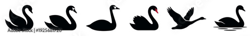 Black swan icon collection featuring six elegant bird silhouettes in different graceful poses, including flying with spread wings and swimming, presented in a minimalist graphic style