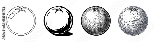 Set of four black orange illustrations showing different artistic styles from simple line art and silhouette to detailed engraving and stippling techniques in a monochrome design