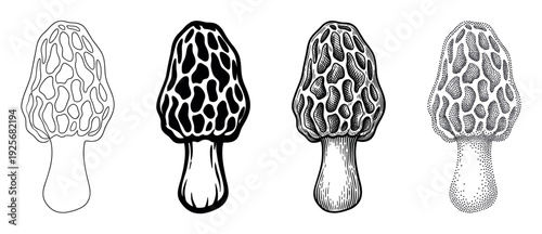 Four morel mushroom illustrations in different artistic styles showing a collection of drawing techniques like line art, engraving, stippling, and silhouette