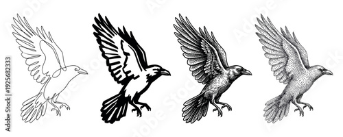 Set of four black raven illustrations in flight, showcasing different artistic techniques including continuous line drawing, bold stencil, detailed engraving, and stippling