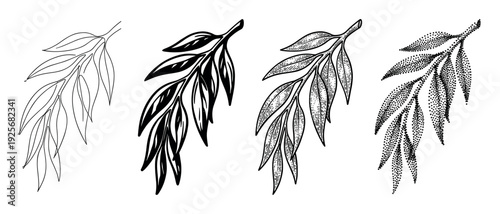Four black and white leafy branch illustrations showing different artistic styles including simple line art, solid silhouette, detailed engraving, and stippling dotwork