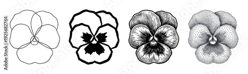 Set of four pansy flower illustrations showing different artistic techniques from simple line art and silhouette to detailed engraving and stippling in a graphic collection