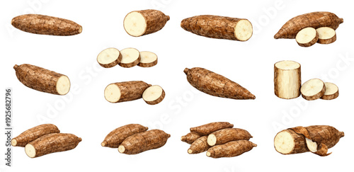 A charming watercolor collection of cassava root clipart, including whole tubers, sliced rounds, peeled pieces, and textured brown skin.