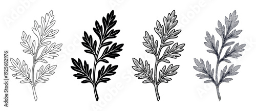 Set of four botanical leaf illustrations in different graphic styles including simple outline, solid silhouette, vintage engraving, and detailed stippling dotwork