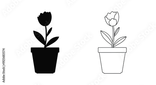 Two tulips in pots one filled and one outline a graphic silhouette