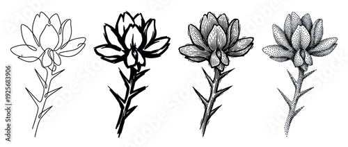 Set of four black flower illustrations showing different artistic techniques including continuous line, brush stroke, vintage engraving, and stippling dotwork