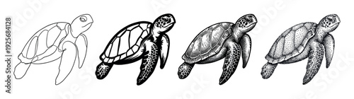 Four distinct black and white sea turtle illustrations showcase various artistic styles including minimalist line art, bold solid shapes, intricate engraving, and detailed stippling techniques
