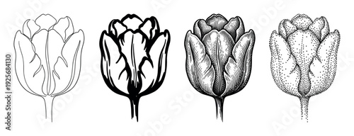 Four black and white tulip flower illustrations showing different graphic art techniques like line art, ink drawing, engraving, and stippling in a beautiful botanical set