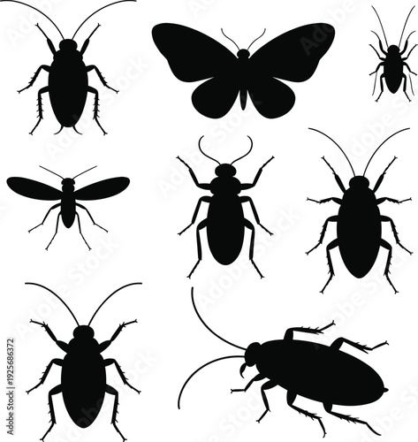 Insect and bug silhouette vector collection with cockroach butterfly beetles and flies for pest control nature wildlife biology and garden theme design