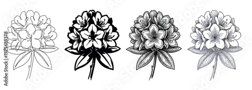 Four rhododendron flower illustrations in different artistic styles including line art, silhouette, engraving, and stippling, showcasing a botanical collection of graphic techniques