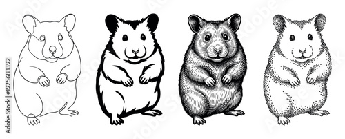 Four hamster illustrations in different artistic styles show a cute rodent drawn with continuous line, bold outline, vintage engraving, and modern stippling