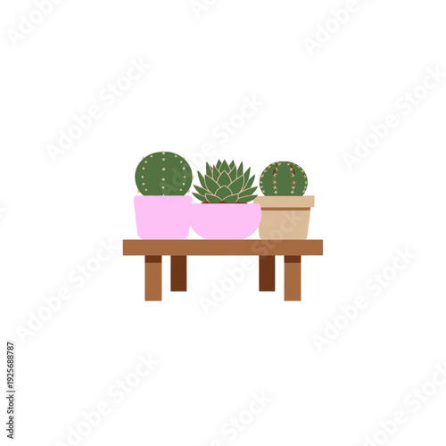 Cactus and Succulent Plants in Colorful Ceramic Pots on a Simple Wooden Stand Illustration