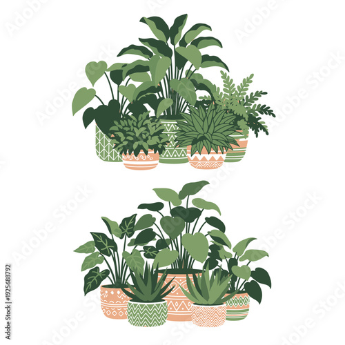 Фотография Potted Green House Plants with Decorative Planters Botanical Illustration