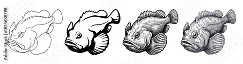 Set of four stonefish illustrations showing different artistic techniques from simple line art and silhouette to detailed engraving and stippling graphic styles