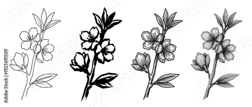 Set of four black floral illustrations depicts a blooming branch in various graphic styles including line art, engraving, stippling, and bold ink brush strokes