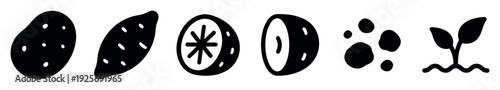 Set of black hand-drawn icons illustrating the potato planting process, showing the whole tuber, cut seed, soil, and a young plant sprout in a simple monochrome silhouette style