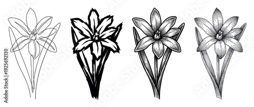 Set of four black flower illustrations showing different artistic styles including continuous line, brushstroke, engraving, and stippling for a creative botanical concept