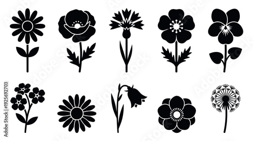 Collection of ten black flower silhouettes featuring various garden and wild blooms like poppy, daisy, and dandelion in a simple, graphic, and minimalist icon set illustration