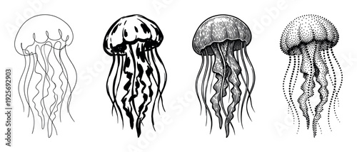Four black and white jellyfish illustrations showing different artistic styles, including continuous line art, brush strokes, engraving, and stippling for a creative design set