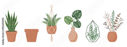 Collection of various illustrated houseplants in pots, including a snake plant, hanging fern, monstera, geometric terrarium, and dried flowers for modern home decor
